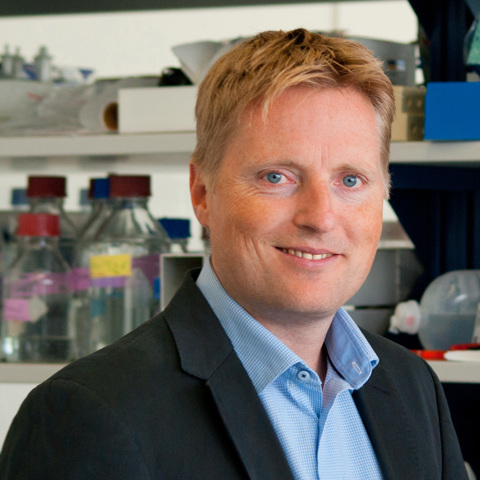Foto von Prof. Dr. Jörg Timm